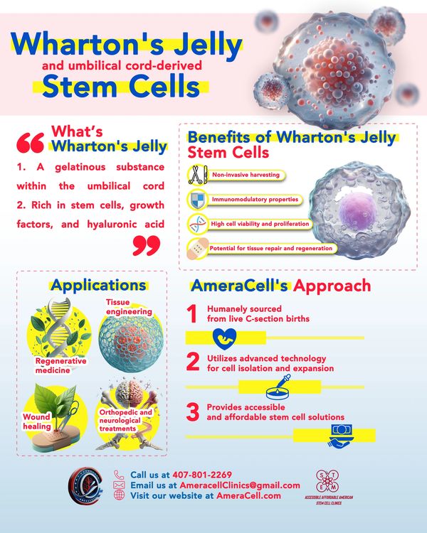 Stem cell clinic, stem, cell doctor, stem, cell therapy, stem cell injection, Fairfax, Virginia IV 
