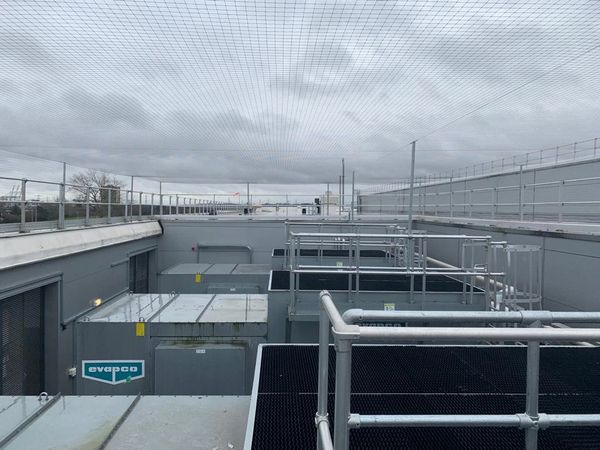 pigeon proofing using netting on a roof to solve a pigeon problem. effective bird control