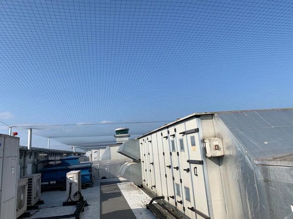 pigeon proofing using netting on a roof to solve a pigeon problem. effective bird control