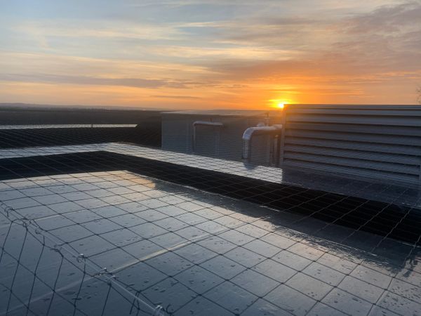 pigeon proofing using netting on a roof to solve a pigeon problem. effective bird control