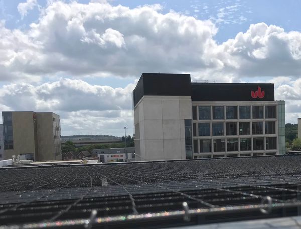 pigeon proofing using netting on a roof to solve a pigeon problem. effective bird control