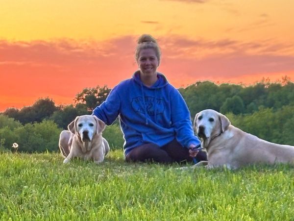 best dog daycare 
mars pa
best dog boarding
cranberry twp
wexford
Berkley Creek YouTube 