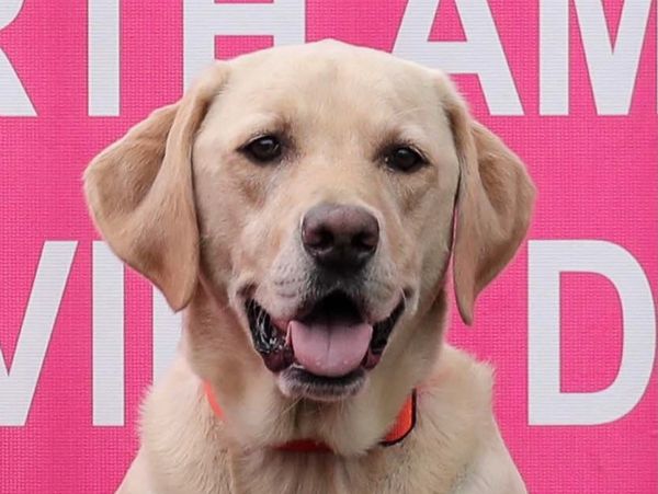 best dog daycare 
mars pa
best dog boarding
cranberry twp
wexford
Berkley Creek YouTube 