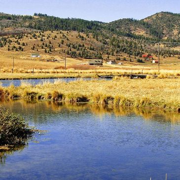 KImball Creek Summit County Utah