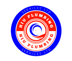 hiuplumbingservices.com