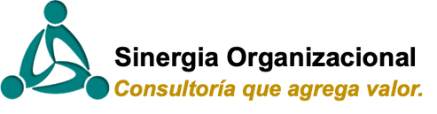  SINERGIA ORGANIZACIONAL