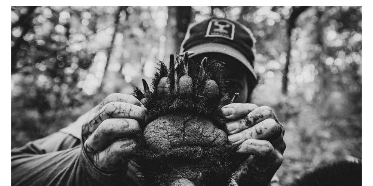 North Georgia Black Bear Hunting