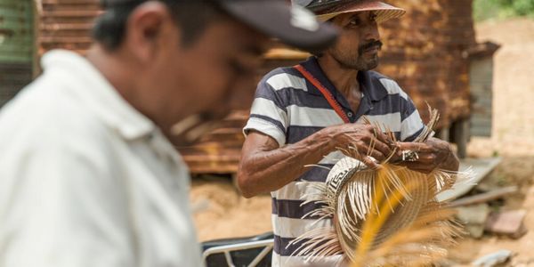 Colombia wayuu kabilesi hasır şapka örme tekniği