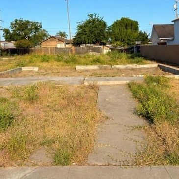 Overgrown backyard with concrete pathways and a wooden shed in the background.