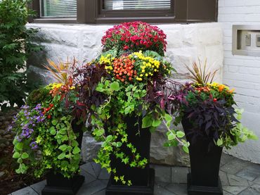 Seasonal Planters - The Little Garden Company