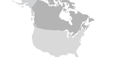 Map showing Canada and the United States in two shades of gray.