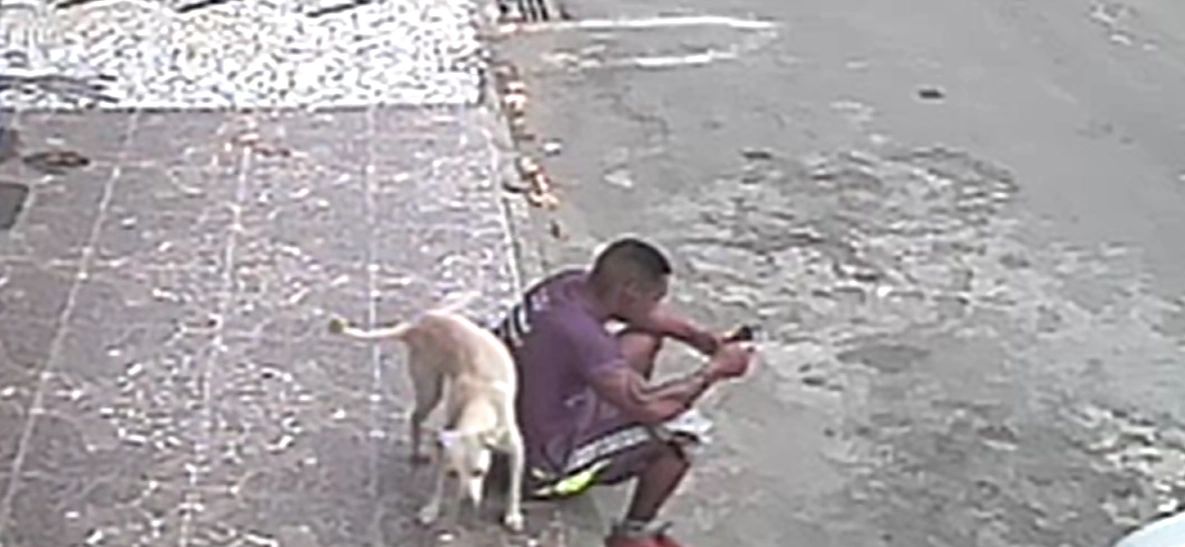 A person crouching on the sidewalk with a dog nearby on a street.