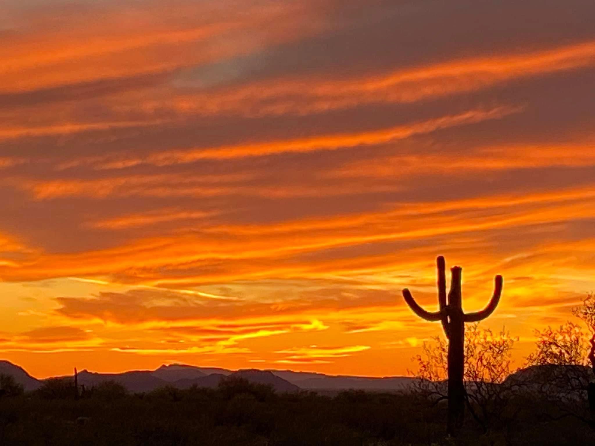 Our beautiful Sonoran Desert Sunsets are breath taking! 