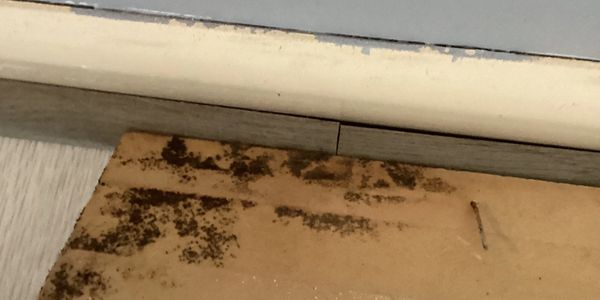 Image of mold on drywall that do-it-yourself people can remove.