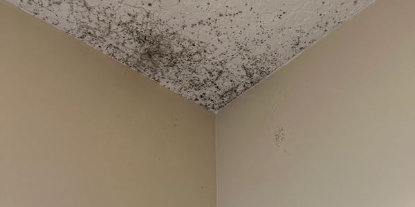 Image of mold on ceiling before a homeowner removes it themselves with the help of Envirowrx.