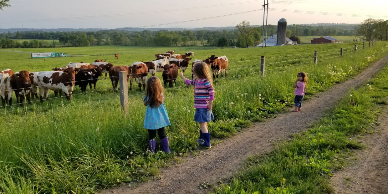 Three children watch cows in a green pasture on a sunny day.
