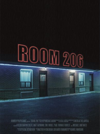 Neon sign 'ROOM 206' above motel rooms at night.
