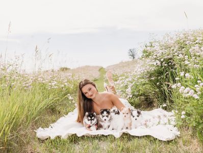 Beautiful young woman in a field of flowers with Bluebird Pomsky puppies