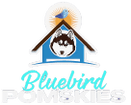 Bluebird House of Pomsky