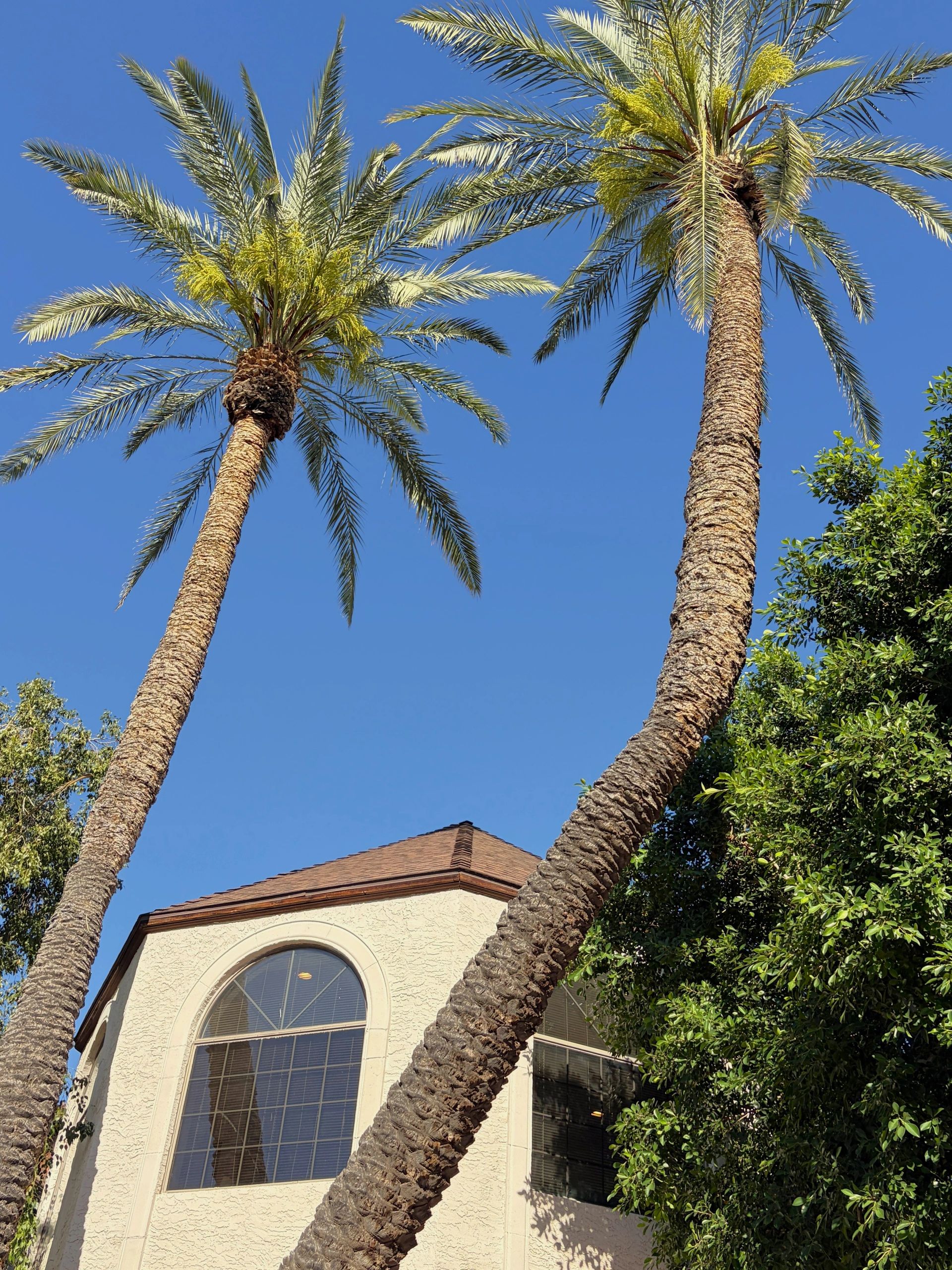 The exterior of the Quilted Heart Therapy counseling office in Phoenix, AZ