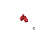 Bad Bitch Boxing