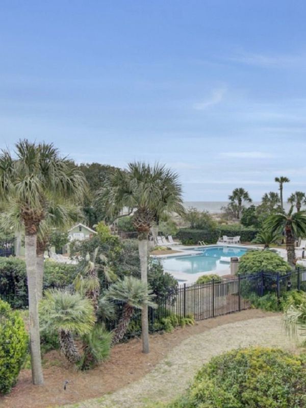 Pool area surrounded by palm trees.
