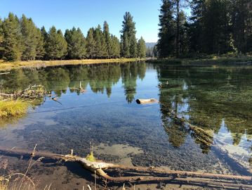 Join our Kayak Tour on Spring Creek, located at Collier Memorial State Park near Crater Lake.