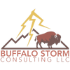 Buffalo Storm Consulting LLC