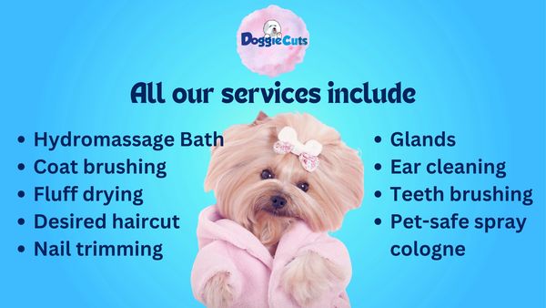 Services included 
Bath: A deep-cleaning shampoo, blow-dry, and ear cleaning
Light brush