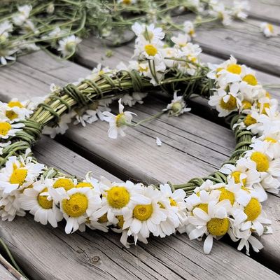 A delicate daisy flower crown resting on wooden planks.