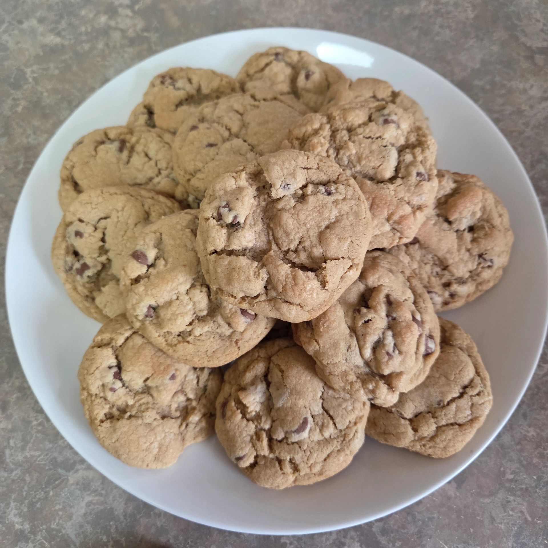 Plate filled with freshly baked chocolate chip cookies.