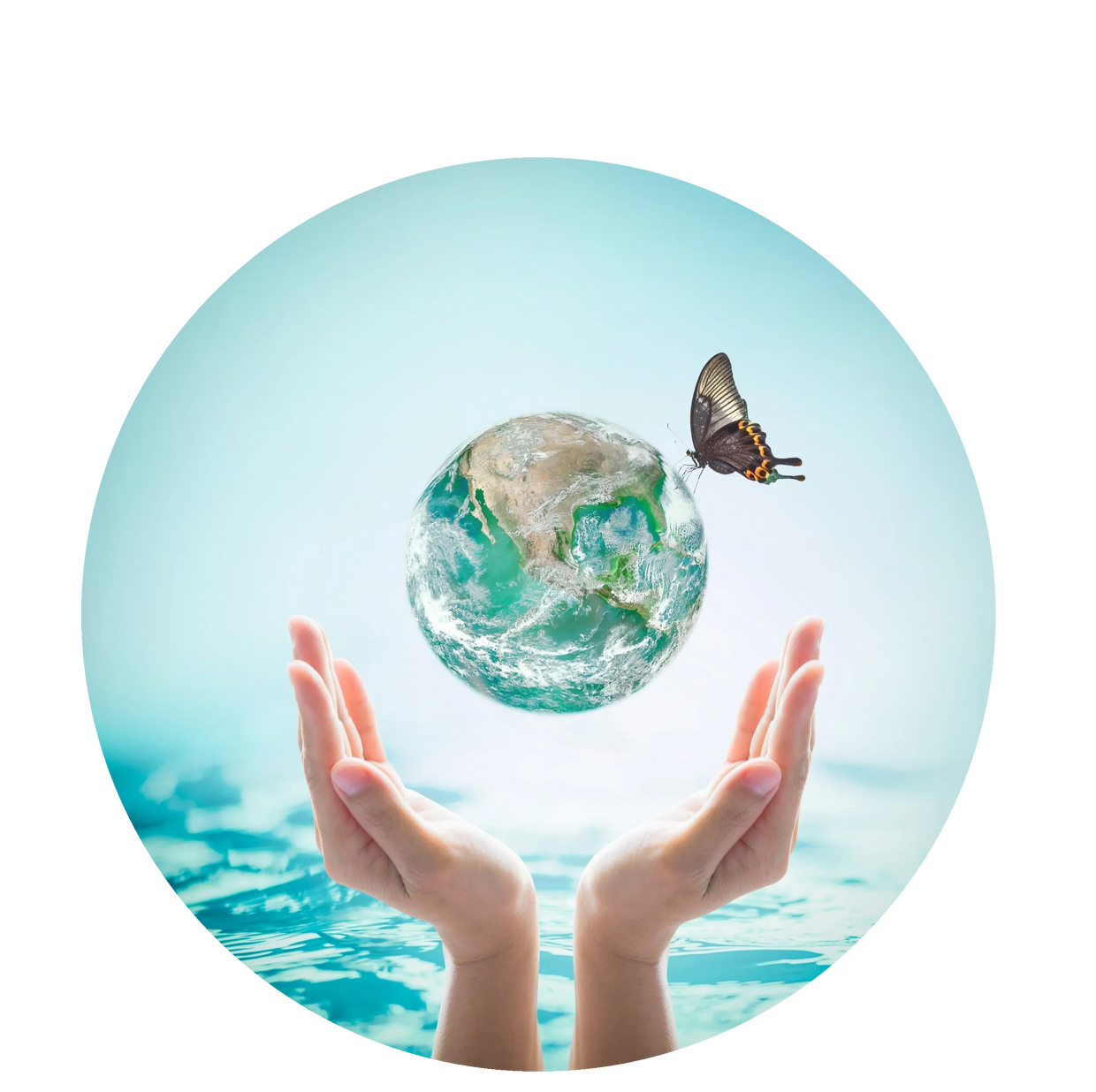 A butterfly lying on the globe