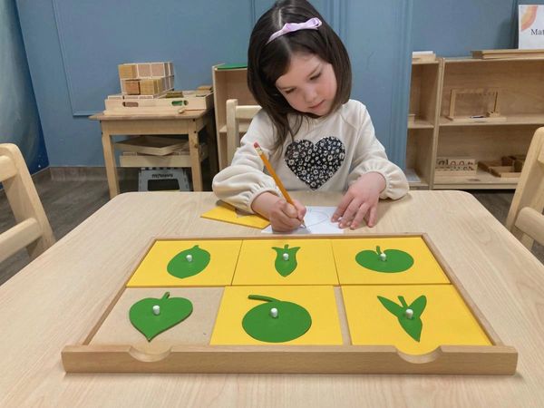 Smart Strategies for Choosing Educational Services thumbnail