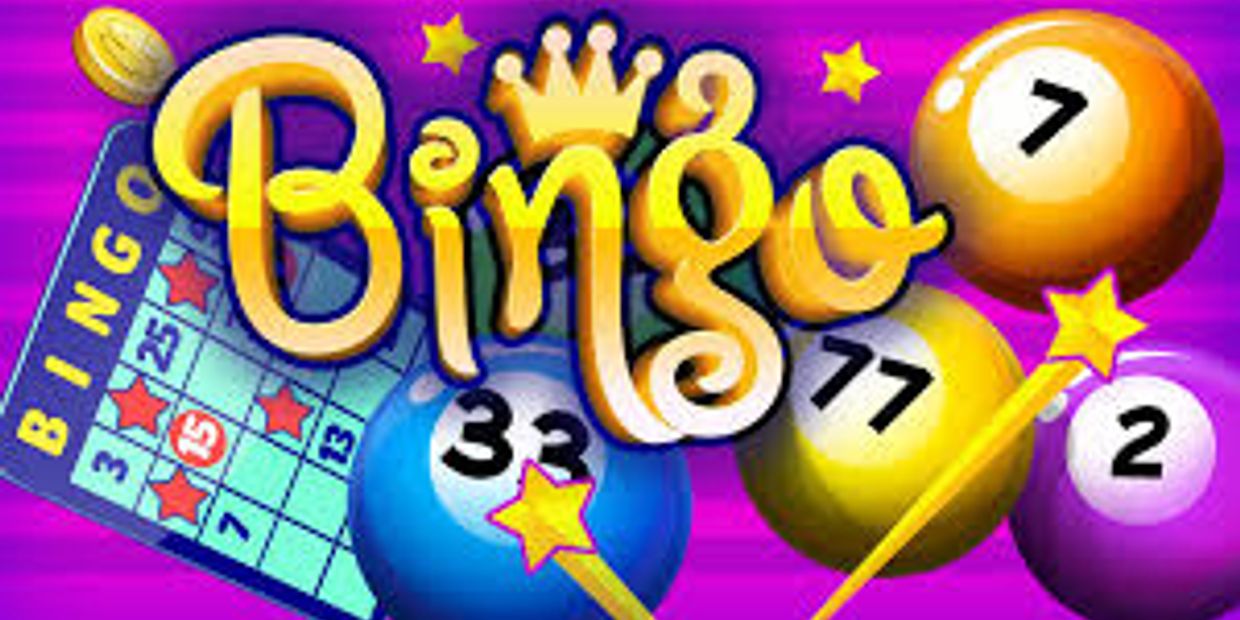 bingos playroom