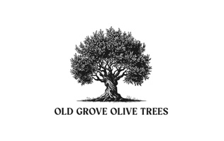 oldgroveolivetrees.com