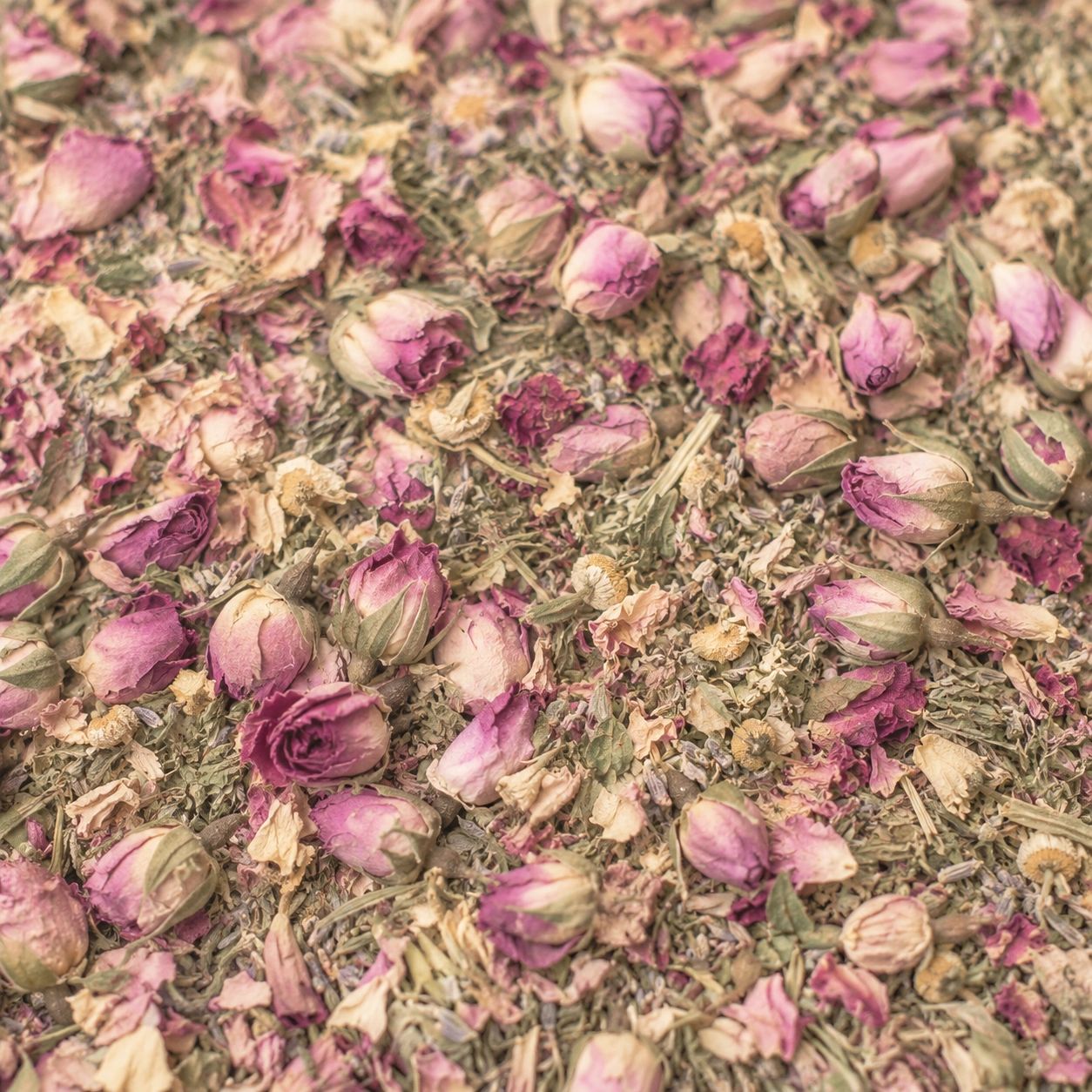 baby pink roses lavendar and rosemary