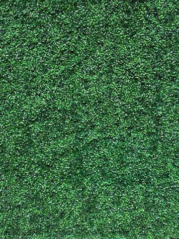 A Green Back Drops