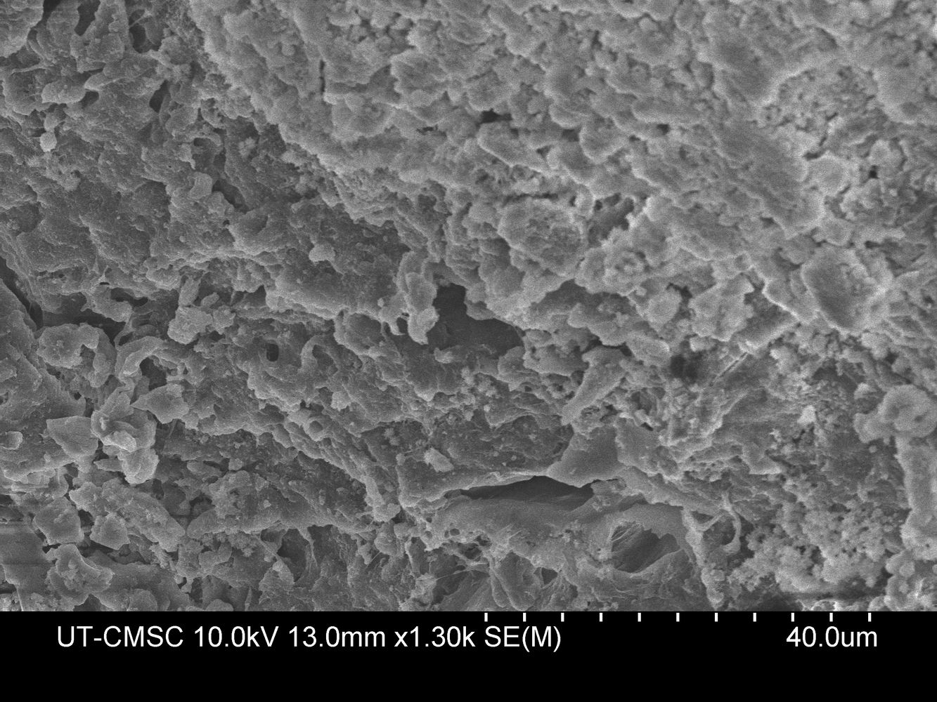 3D Printed Bone model made with FibreTuff PAPC having a blue orthopedic metal plate attached.