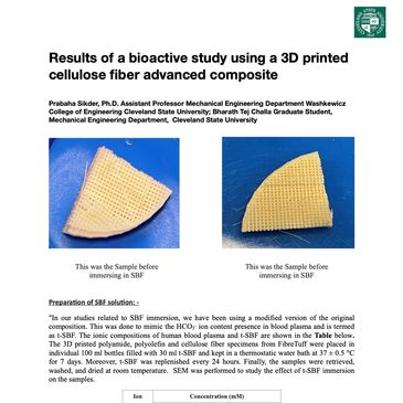 Bioactivity Investigation of FibreTuff