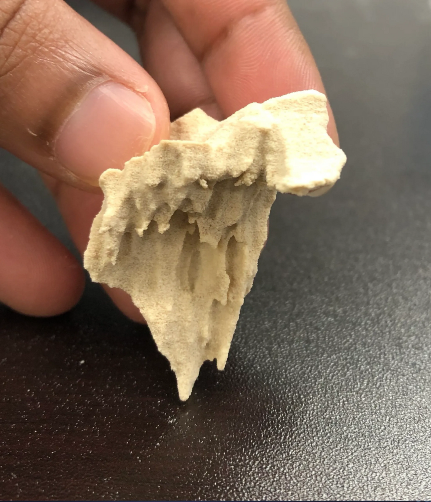 SLS printed bone model