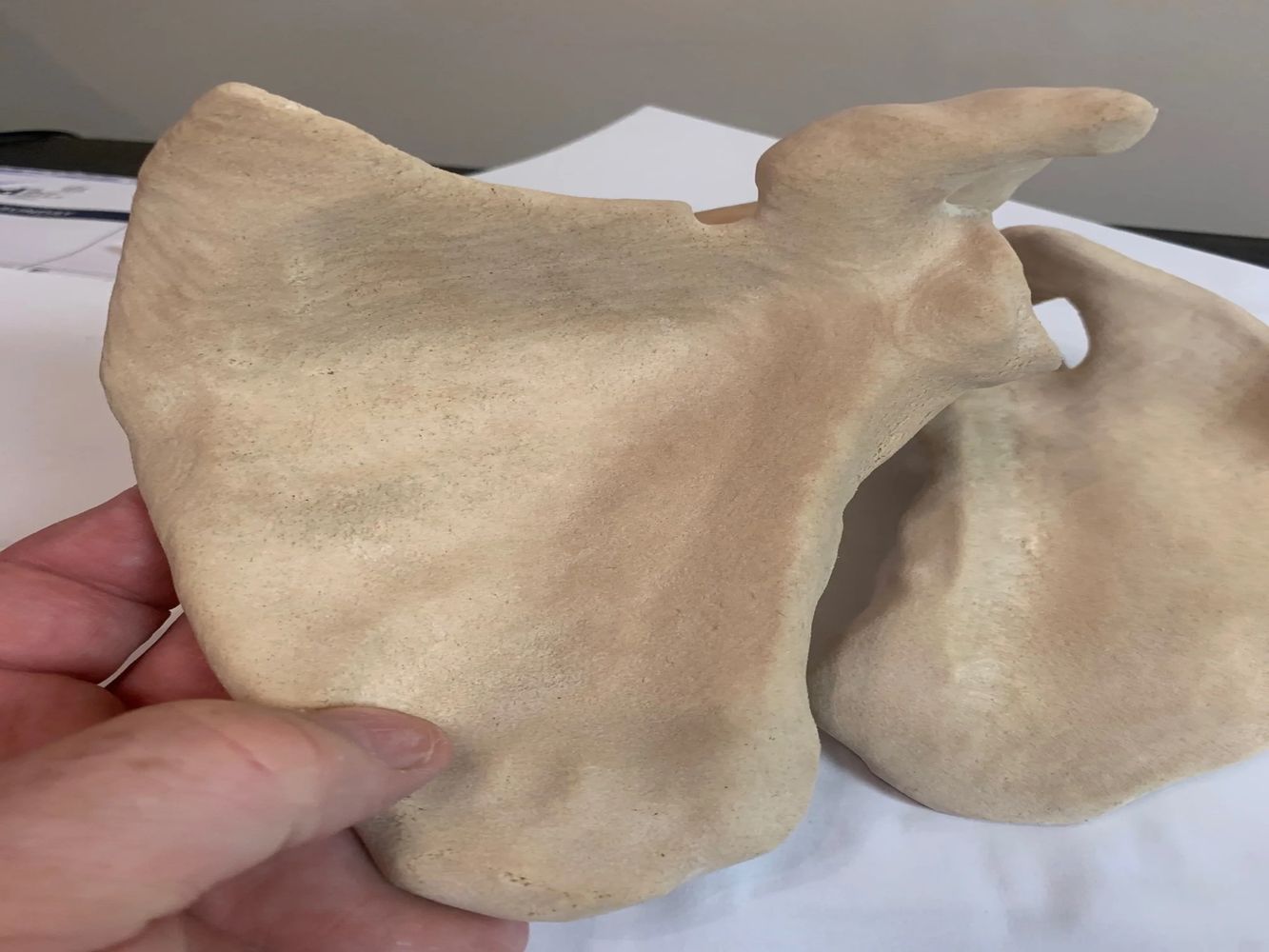 3D printed Scapula made with FibreTuff PAPC