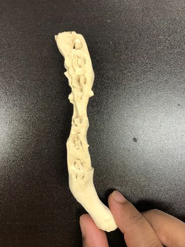 3D Printed Clavicle by FibreTuff