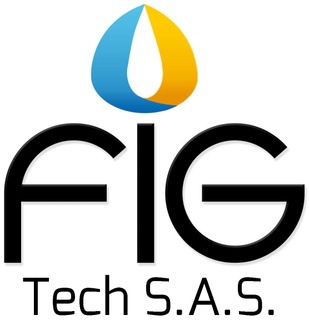 FIG S.A.S.