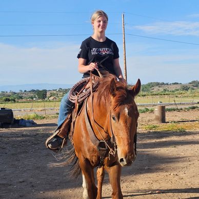 A young woman rides a chestnut horse on a sunny day.