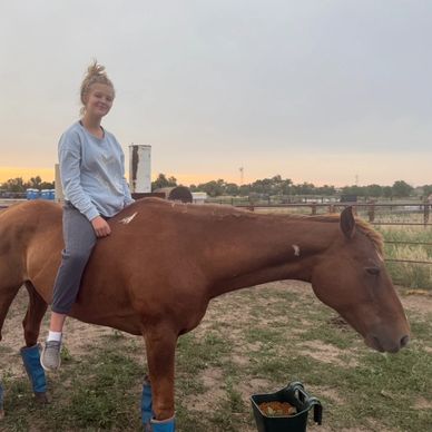 A girl sitting on a brown horse at sunset, both wearing blue leg wraps.