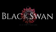 Black Swan Venue