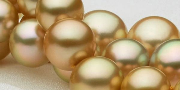 A Touch of Gold- The Allure of Golden South Sea Pearls - Pearls of Joy