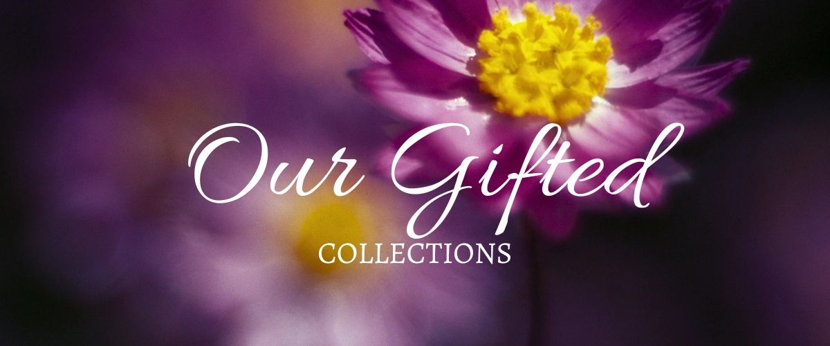 Our Gifted Collections.
