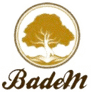 BADEM CONSULTANCY LTD