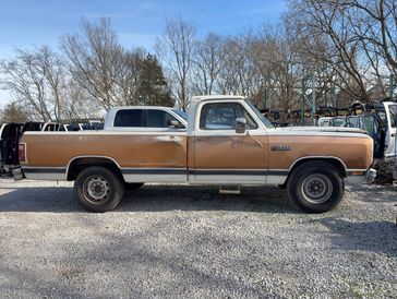 1984 Dodge D200